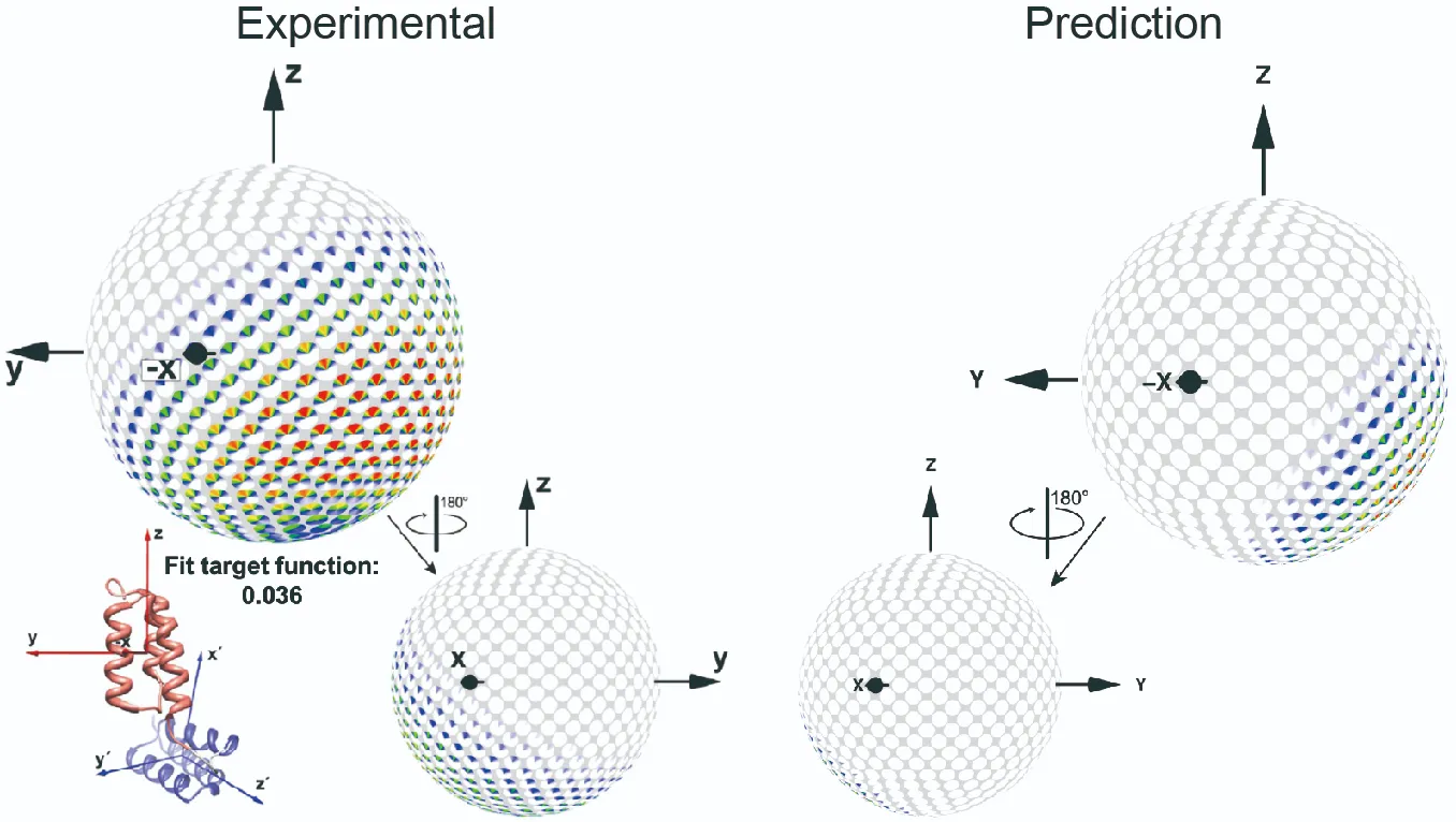 OpenComplex — Biomolecular Foundation Model